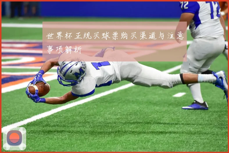 世界杯正规买球票购买渠道与注意事项解析